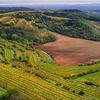 tile-wineyard